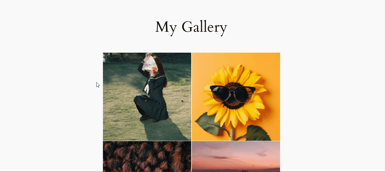 Enable Distraction Free View in Lightbox