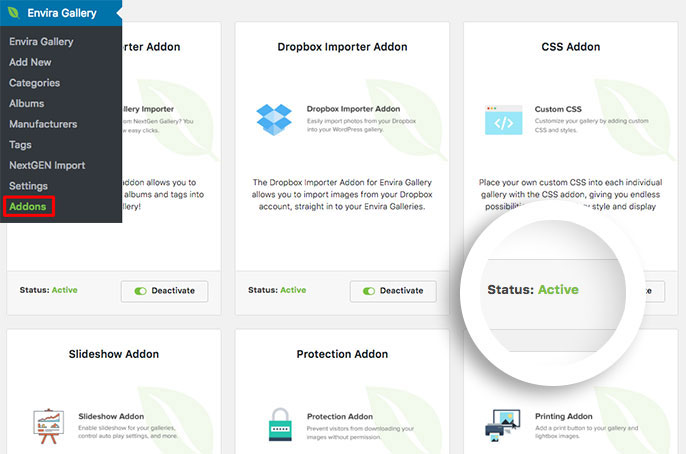 Install and activate the CSS addon to easily add your CSS change to the gallery's Misc tab