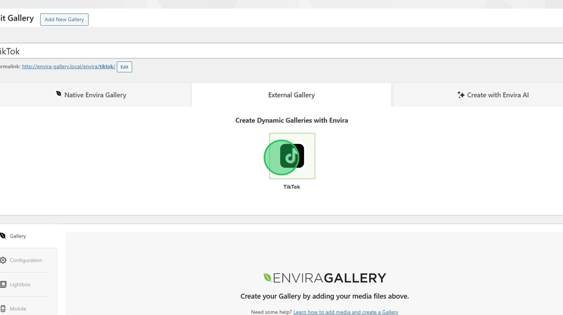 select TikTok as the gallery source