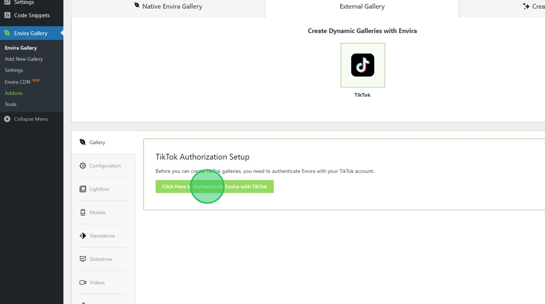 authenticate your TikTok account