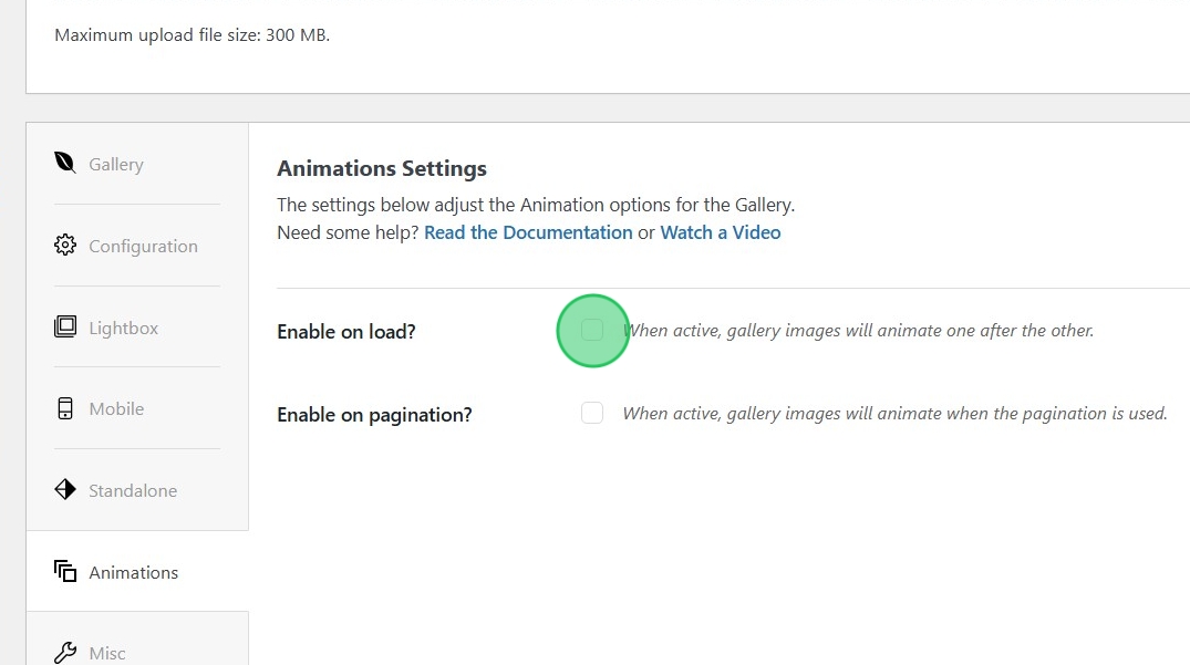 enable animations checkbox