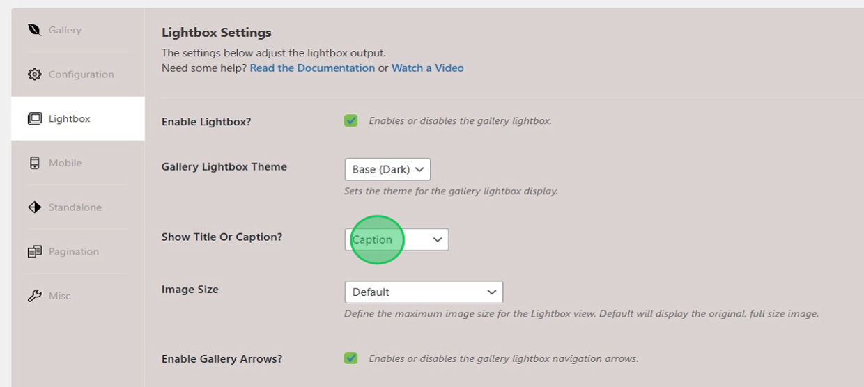 Choose Caption for Lightbox