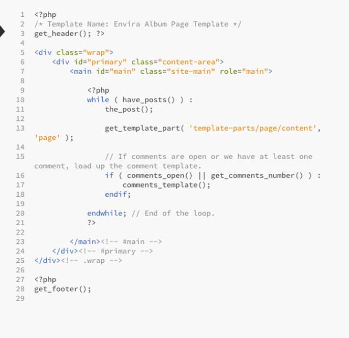 Envira's custom template header after
