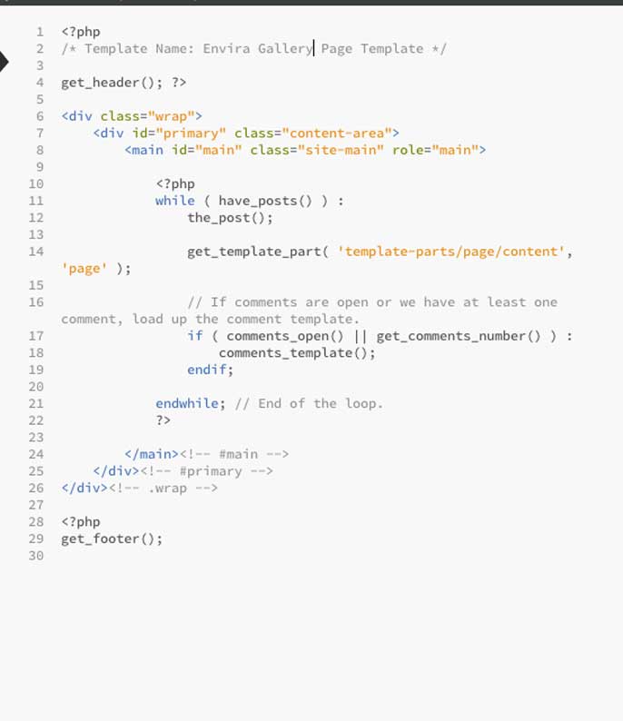 Envira's custom template header after