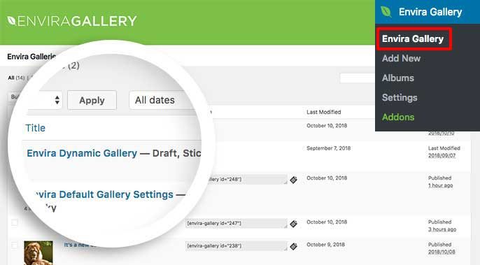 Edit the Envira Dynamic Settings gallery to setup and use the Dynamic Addon