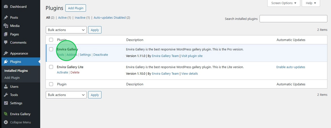 Envira Pro Activation