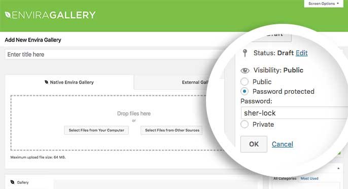 Set the visibility to Password protected and give the gallery a password and click OK