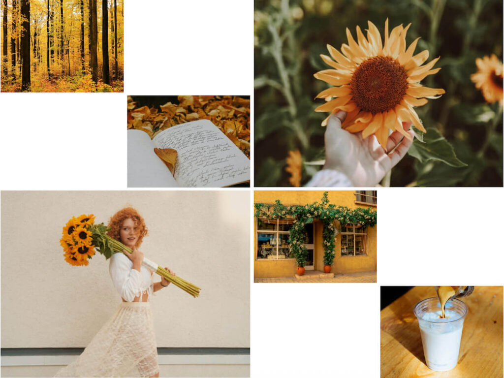 Spread Harmony gallery layout example