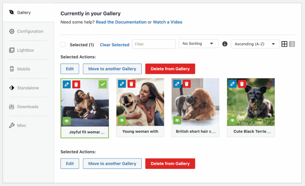 Gallery images in Envira