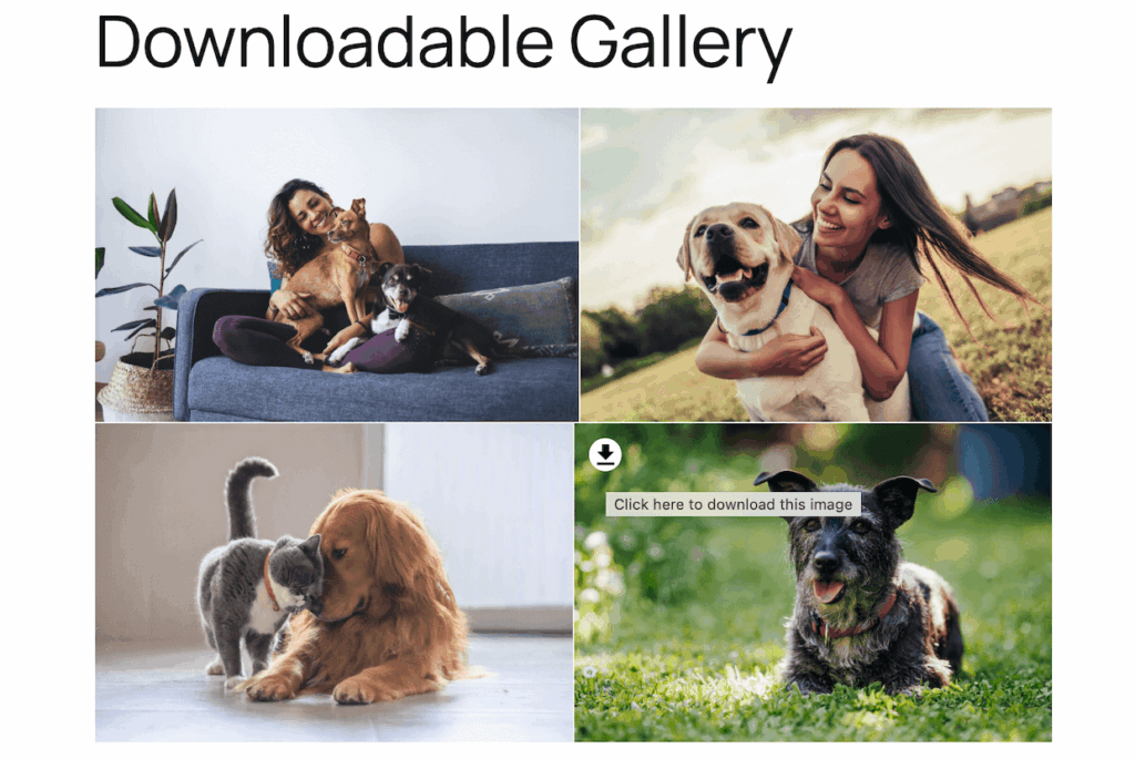 The gallery download button for a grid layout gallery