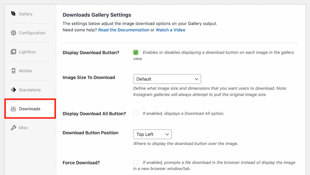 Downloads tab in Envira Gallery settings