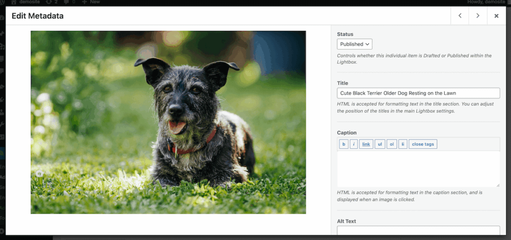 Edit Metadta in Envira Gallery