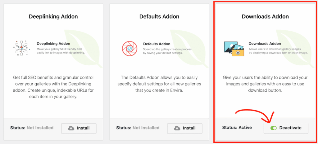 Enable the Envira Gallery Downloads Addon