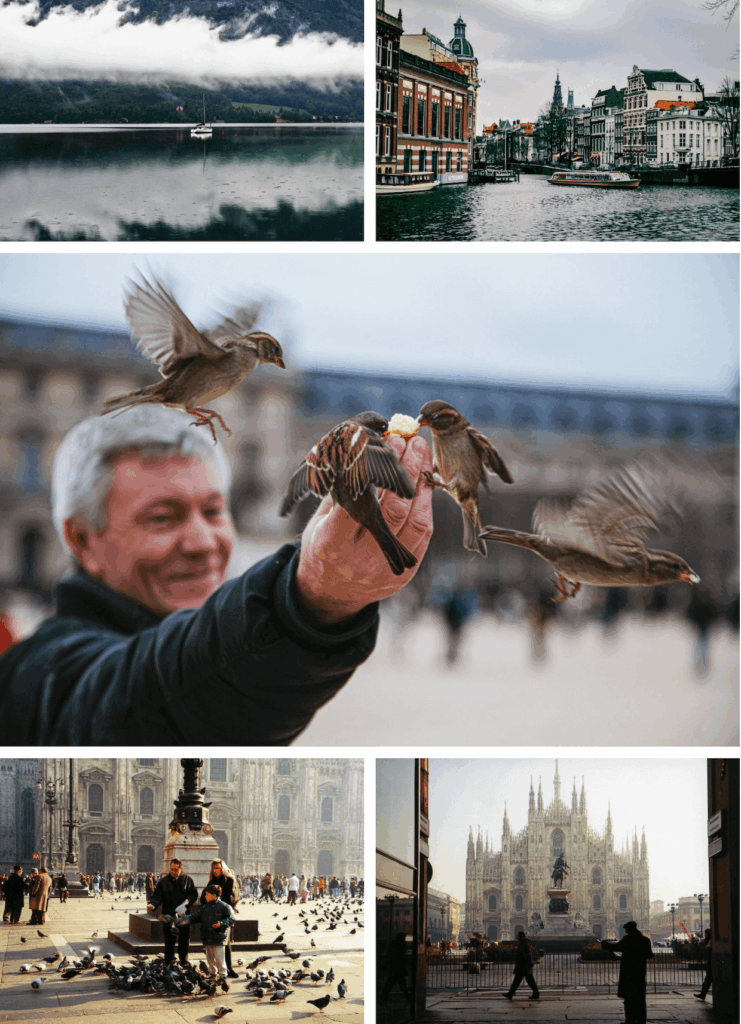 Highlight Grid gallery example