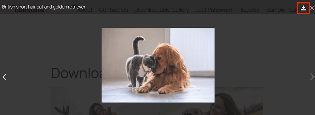 The gallery download image button in lightbox settings
