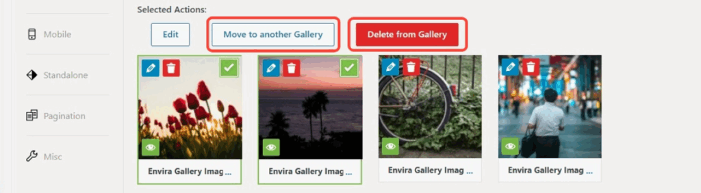 Move or Delete Gallery Image